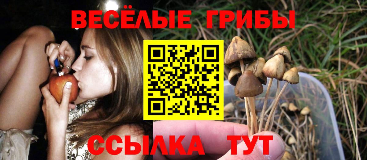 Псилоцибиновые грибы прущие грибы  Вход с VPN  Рузаевка 