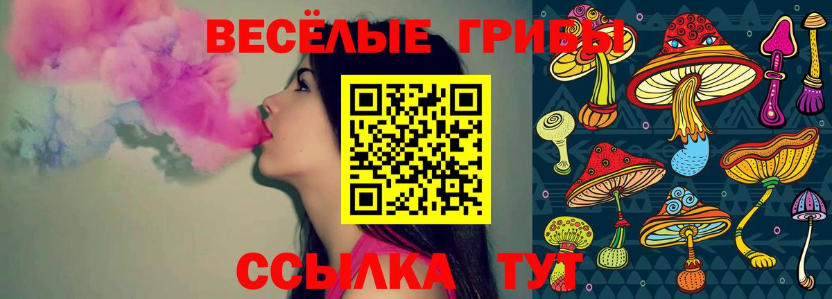 Псилоцибиновые грибы Magic Shrooms Рузаевка
